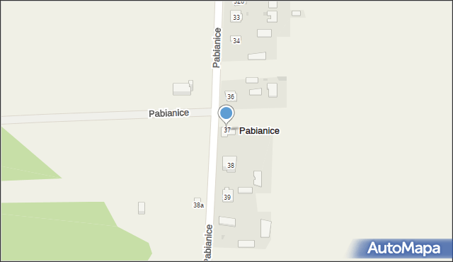 Pabianice, Pabianice, 37, mapa Pabianic