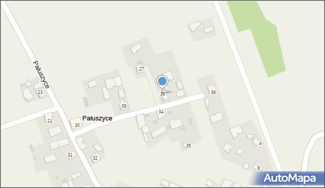 Pałuszyce, Pałuszyce, 38, mapa Pałuszyce