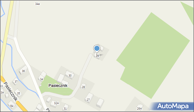 Pasiecznik, Pasiecznik, 29, mapa Pasiecznik