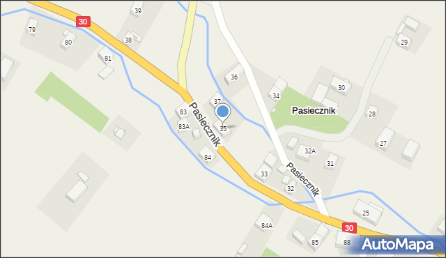 Pasiecznik, Pasiecznik, 35, mapa Pasiecznik