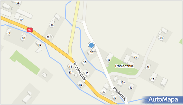 Pasiecznik, Pasiecznik, 36, mapa Pasiecznik