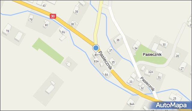 Pasiecznik, Pasiecznik, 83, mapa Pasiecznik