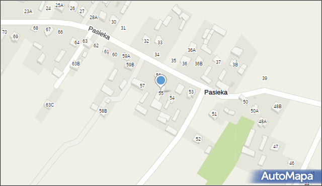 Pasieka, Pasieka, 55, mapa Pasieka