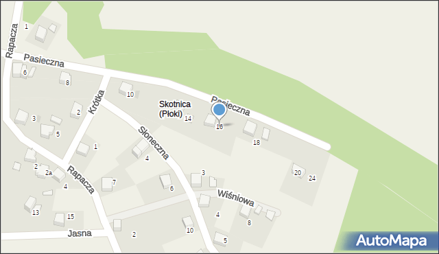 Płoki, Pasieczna, 16, mapa Płoki