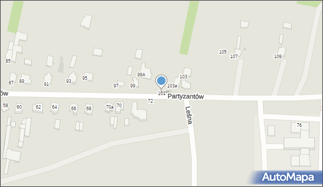 Radzyń Podlaski, Partyzantów, 101, mapa Radzyń Podlaski