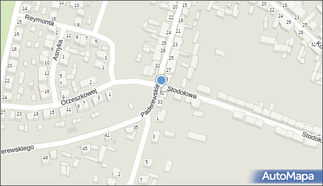 Rawicz, Paderewskiego Ignacego Jana, 31, mapa Rawicz