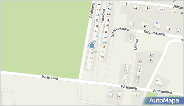 Wilkszyn, Parkowa, 19, mapa Wilkszyn