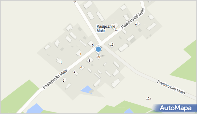 Witowo, Pasieczniki Małe, 10, mapa Witowo