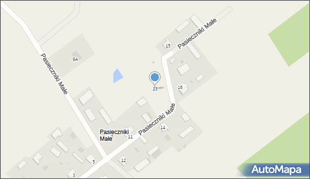 Witowo, Pasieczniki Małe, 13, mapa Witowo