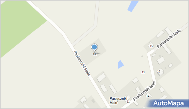 Witowo, Pasieczniki Małe, 9A, mapa Witowo