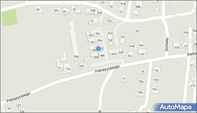 Kraków, Petrażyckiego Leona, 66A, mapa Krakowa