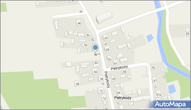 Petrykozy, Petrykozy, 58, mapa Petrykozy