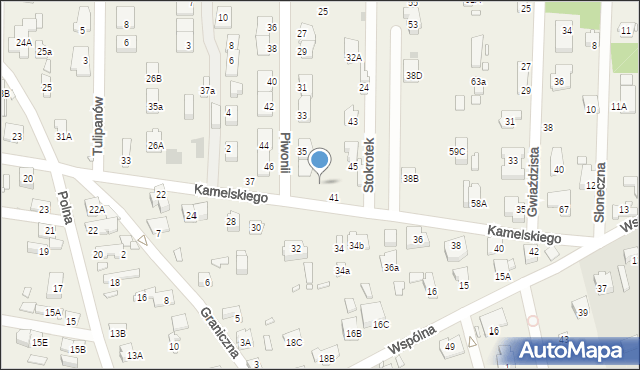 Nowa Wieś, Piwonii, 37, mapa Nowa Wieś