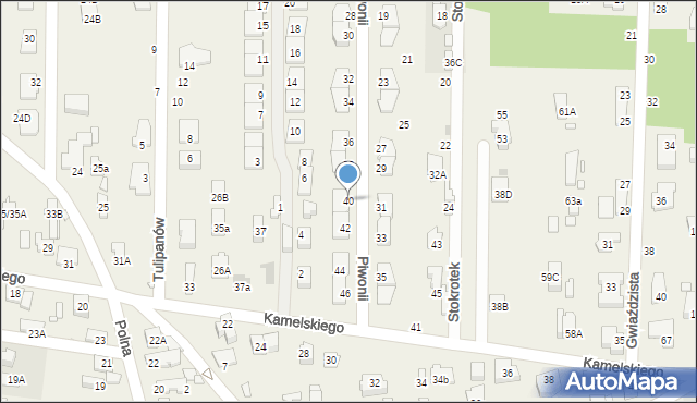 Nowa Wieś, Piwonii, 40, mapa Nowa Wieś