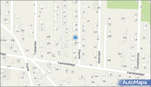 Nowa Wieś, Piwonii, 42, mapa Nowa Wieś