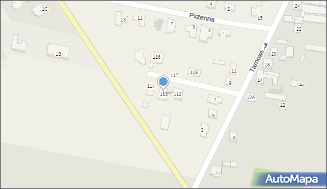 Piechanin, Piechanin, 113, mapa Piechanin