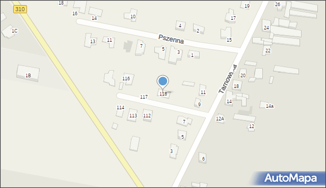 Piechanin, Piechanin, 118, mapa Piechanin