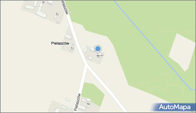 Pielaszów, Pielaszów, 55, mapa Pielaszów