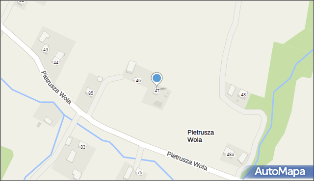 Pietrusza Wola, Pietrusza Wola, 47, mapa Pietrusza Wola
