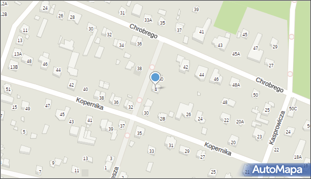 Puszczykowo, Piesza, 4, mapa Puszczykowo