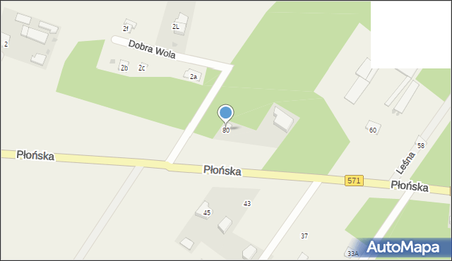 Borkowo, Płońska, 80, mapa Borkowo