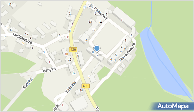 Goszcz, Plac Pałacowy, 7, mapa Goszcz