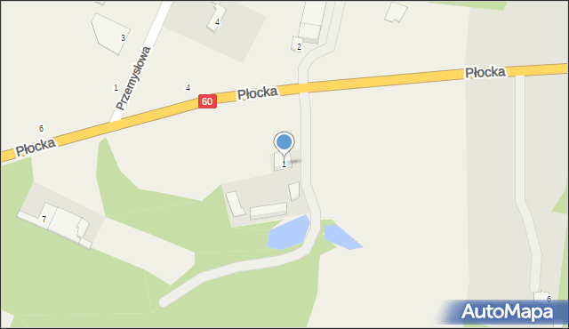 Pęchcin, Płocka, 1, mapa Pęchcin