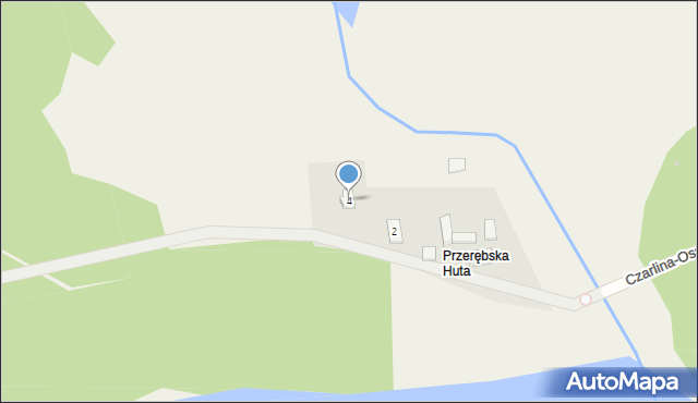 Płęsy, Płęsy, 4, mapa Płęsy