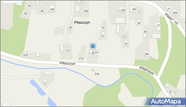 Pliszczyn, Pliszczyn, 41, mapa Pliszczyn