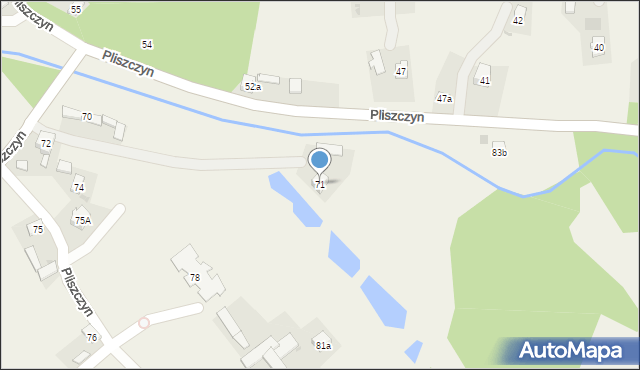 Pliszczyn, Pliszczyn, 71, mapa Pliszczyn