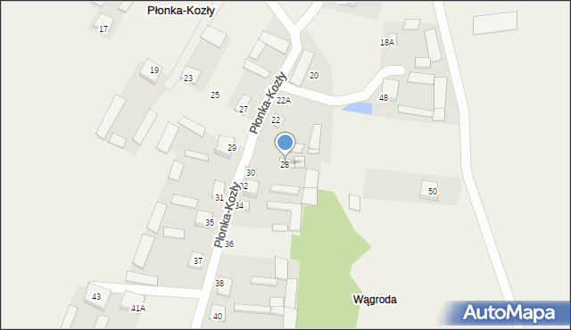 Płonka-Kozły, Płonka-Kozły, 28, mapa Płonka-Kozły