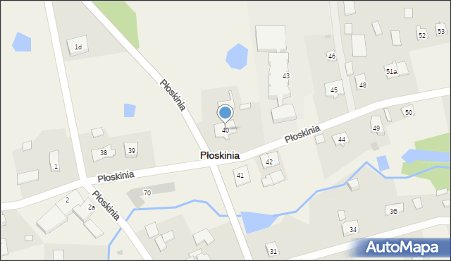 Płoskinia, Płoskinia, 40, mapa Płoskinia