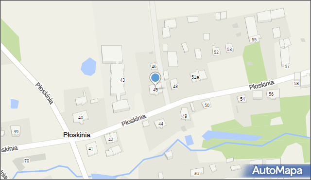 Płoskinia, Płoskinia, 45, mapa Płoskinia