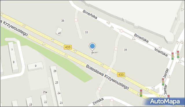 Poznań, Pleszewska, 37, mapa Poznania