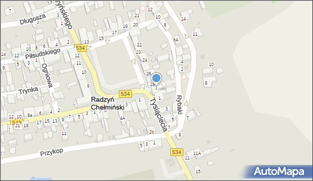 Radzyń Chełmiński, Plac Towarzystwa Jaszczurczego, 29, mapa Radzyń Chełmiński