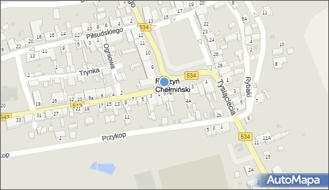 Radzyń Chełmiński, Plac Towarzystwa Jaszczurczego, 7, mapa Radzyń Chełmiński