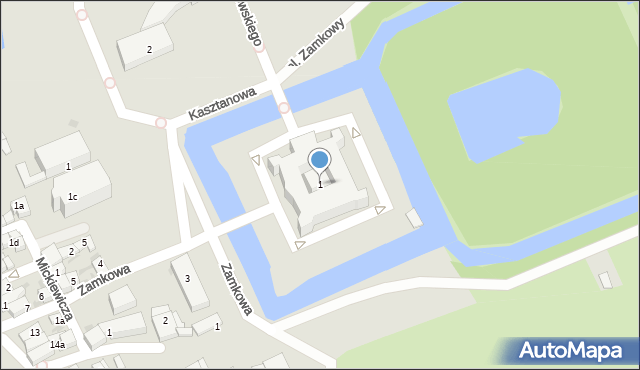 Rydzyna, Plac Zamkowy, 1, mapa Rydzyna