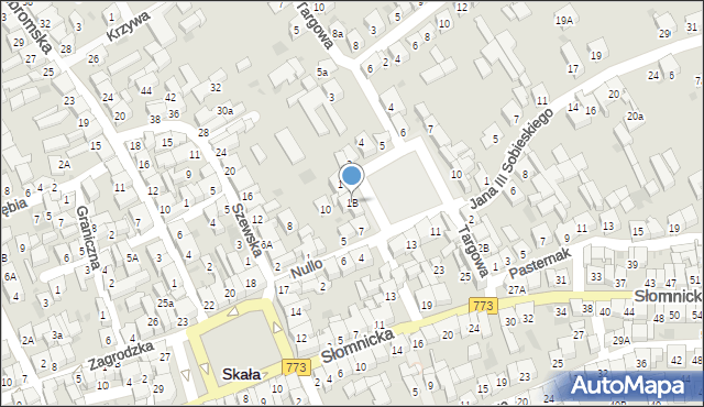 Skała, Plac Konstytucji 3 Maja, 1B, mapa Skała