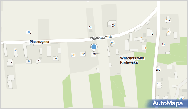 Warząchewka Królewska, Płaszczyzna, 6B, mapa Warząchewka Królewska