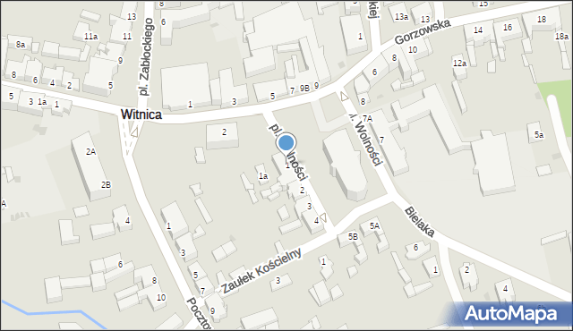 Witnica, Plac Wolności, 1, mapa Witnica