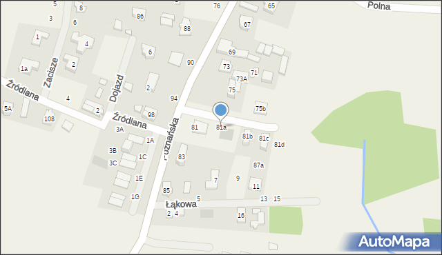 Borówiec, Poznańska, 81a, mapa Borówiec