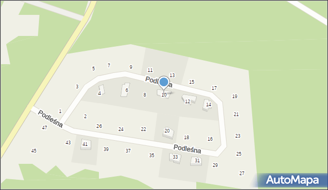 Czapielsk, Podleśna, 10, mapa Czapielsk