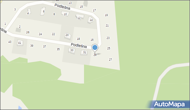 Czapielsk, Podleśna, 29, mapa Czapielsk
