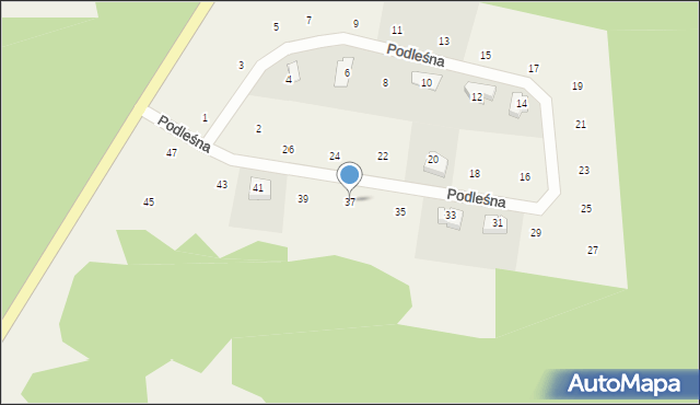 Czapielsk, Podleśna, 37, mapa Czapielsk