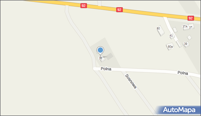 Golina, Polna, 36, mapa Golina
