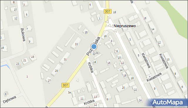 Niepruszewo, Poznańska, 12, mapa Niepruszewo