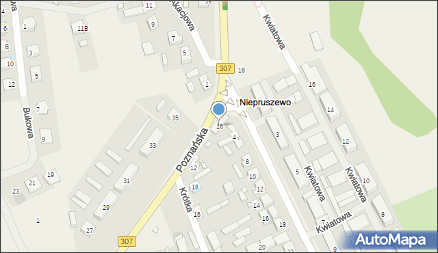 Niepruszewo, Poznańska, 16, mapa Niepruszewo