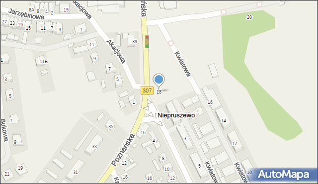 Niepruszewo, Poznańska, 18, mapa Niepruszewo