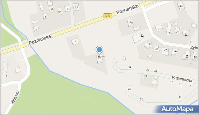 Niepruszewo, Poznańska, 2b, mapa Niepruszewo