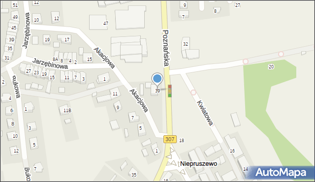 Niepruszewo, Poznańska, 39, mapa Niepruszewo